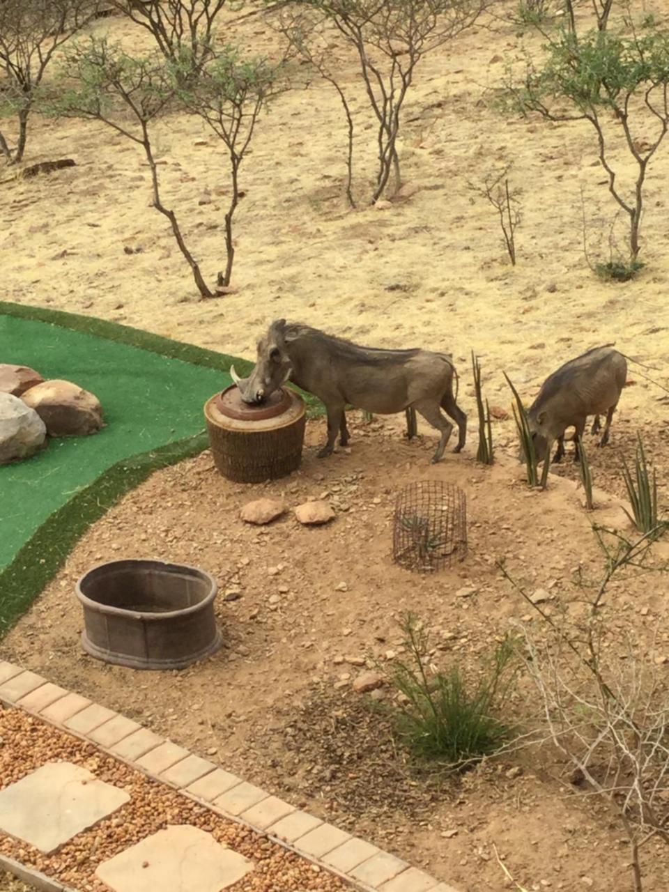 Windhoek Rural Self Catering Voigtland ภายนอก รูปภาพ