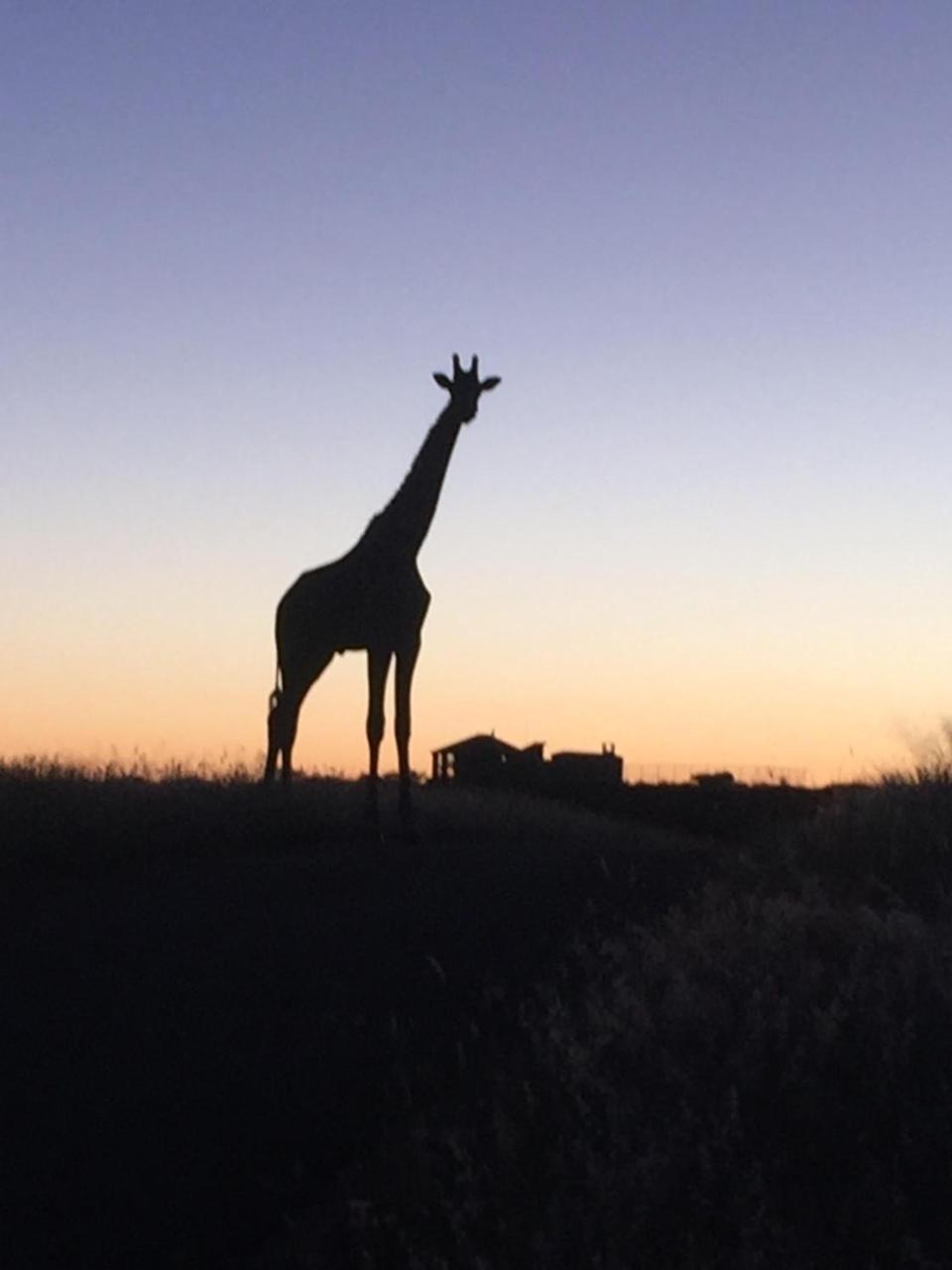 Windhoek Rural Self Catering Voigtland ภายนอก รูปภาพ
